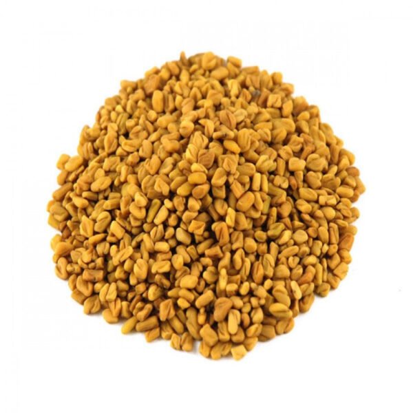 حلبة حصي بلدي